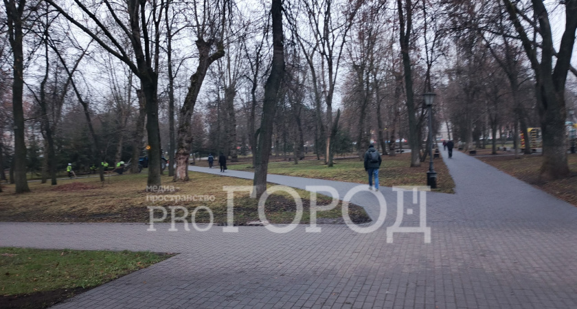 Мэрия выделила 400 тысяч рублей на модернизацию терминала оплаты туалета в пензенском сквере