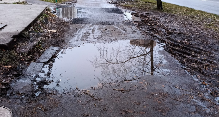 Проблемную дорогу к школе в Каменском районе обещают реконструировать