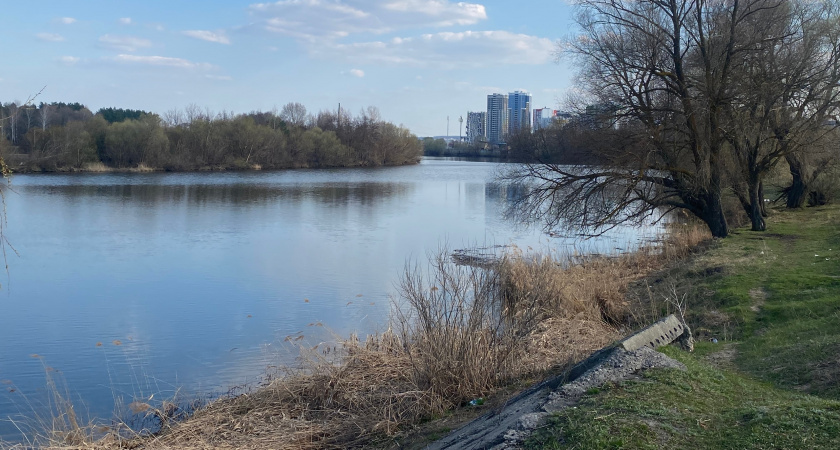 Кузнечанина оштрафовали за сброс отходов на почву