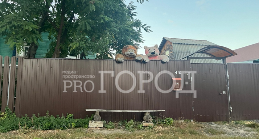 «Кладбища мягких игрушек»: кто и зачем так украшает пензенские дворы — и почему это тревожный сигнал, а не милый жест