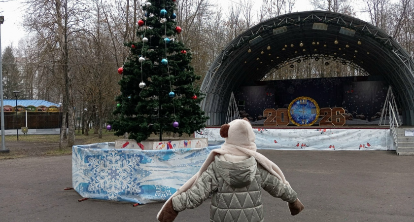 Жители Пензы жалуются на елку в сквере «Могилевский дворик»