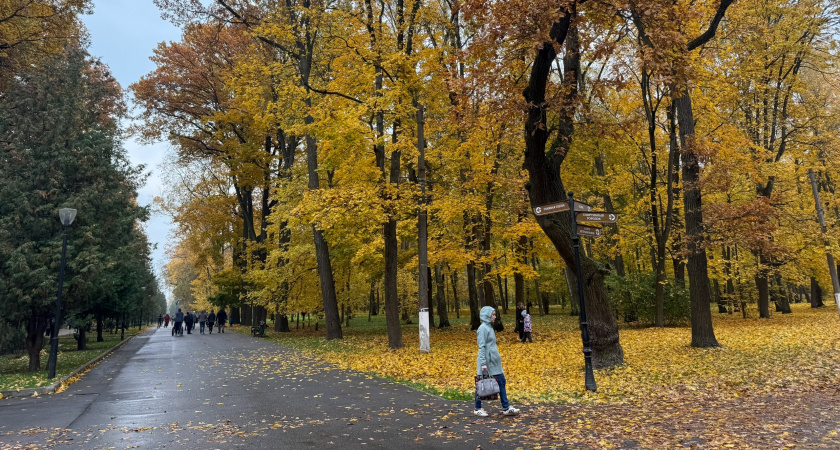 Благоустройство пензенского сквера «Семейный» продолжится в следующем году