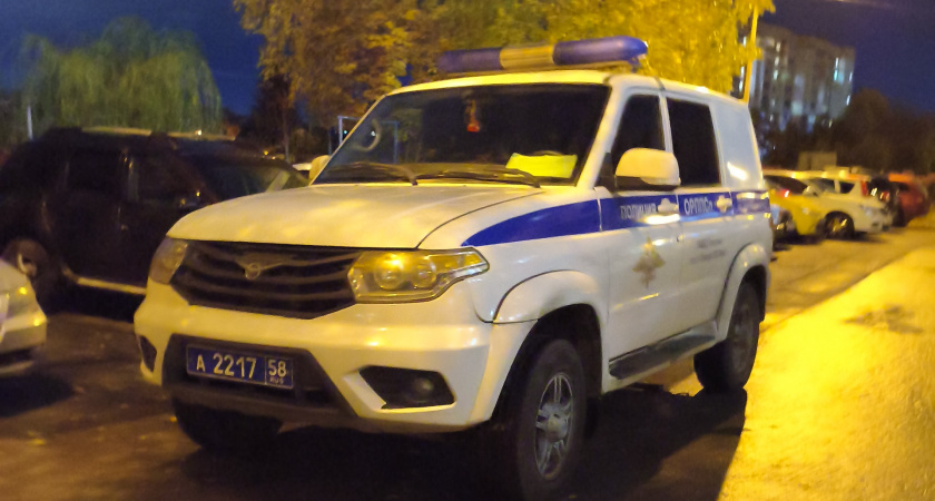 Жительница Сердобского района ударила свою мать скалкой из-за бытовой ссоры