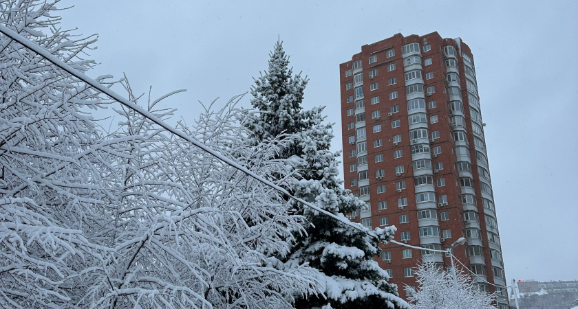 В Пензенской области центры «Мои документы» предоставили более 1,4 млн услуг с начала года