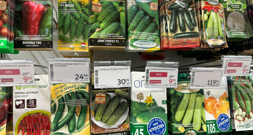 Мои фавориты огурцов: беспроигрышный выбор - урожайность до 20 кг с метра, ранние, без горечи и не кривятся 