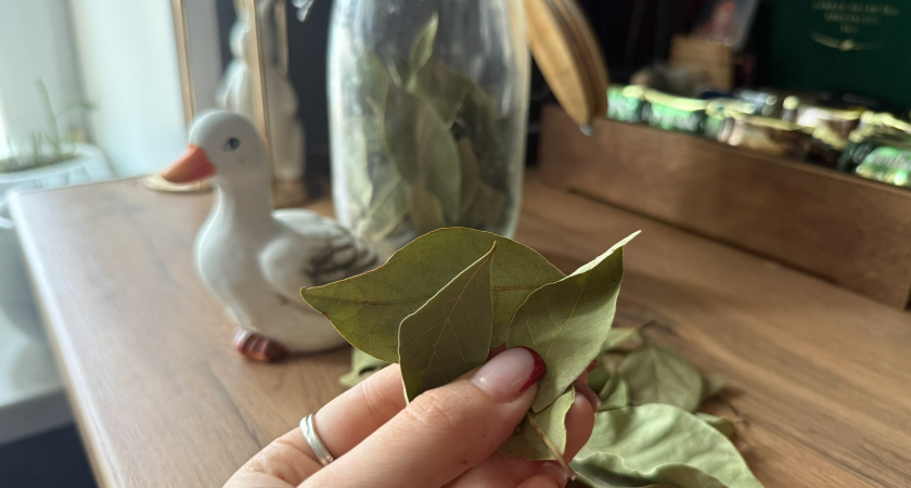 Беру лавровый лист и прячу под ковер: всего одно простое действие — и изменения в жизни уже кардинальные