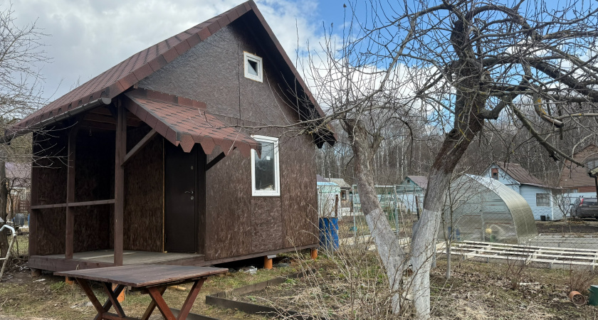 Друзья отговаривали от зимовки на даче, но решили попробовать: и не дня не пожалели - все наши страхи оказались просто выдуманными 