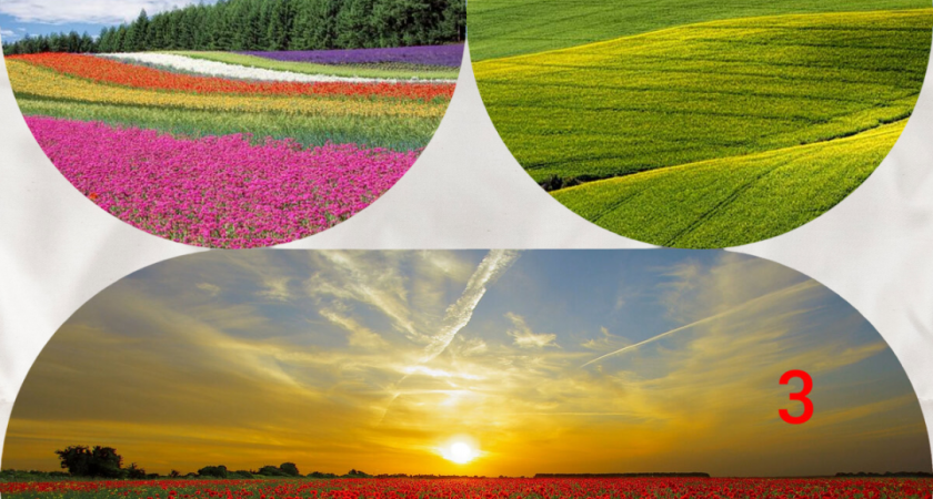 Тест на 2026 год: выберите поле и получите подсказку судьбы, какие события, сюрпризы и перемены ждут вас в Новом году