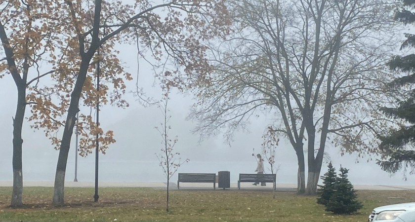 В управлении ЖКХ назвали вырубку деревьев на Антонова законной