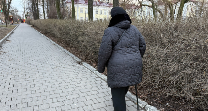 В Пензе благодаря полицейским пенсионерки смогли защитить свои сбережения от аферистов