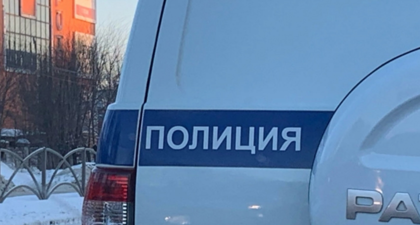 Полицейские поймали в Москве мужчину, который украл деньги у жительницы Земетчинского района