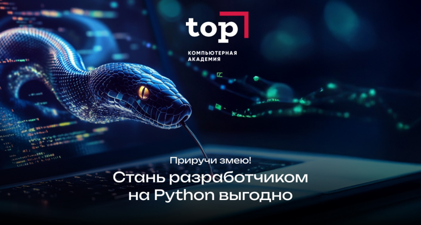 Приручи змею и начни новую карьеру в IT с Компьютерной Академией ТОП! Специальное предложение января