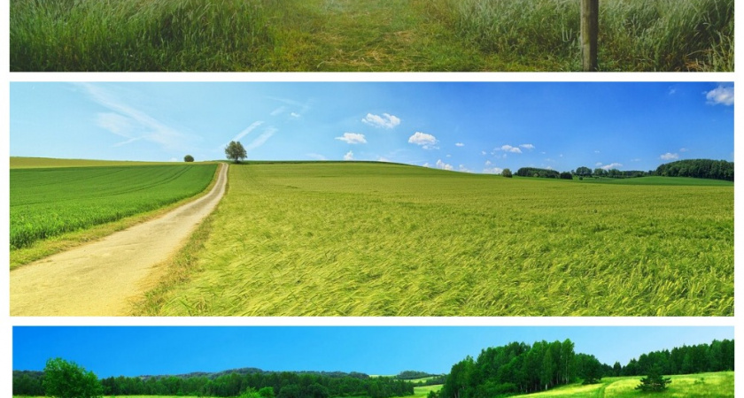 Тест-гадание на будущее: выберите вариант и узнайте, что судьба приготовила для вас в самое ближайшее время 