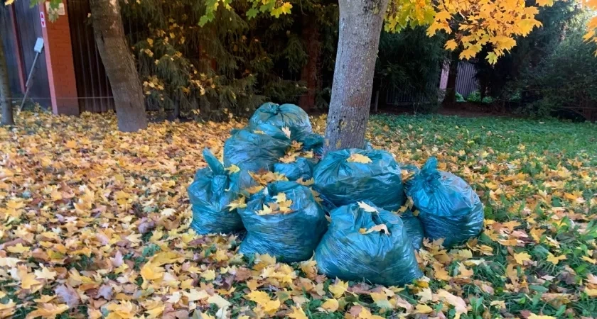 Жители Пензы возмущаются по поводу невывоза мусора