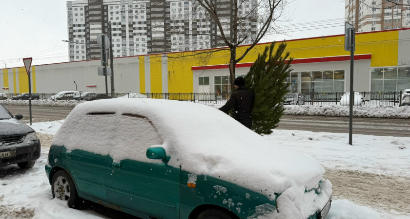 На дорогах Пензы работает более 70 единиц спецтехники