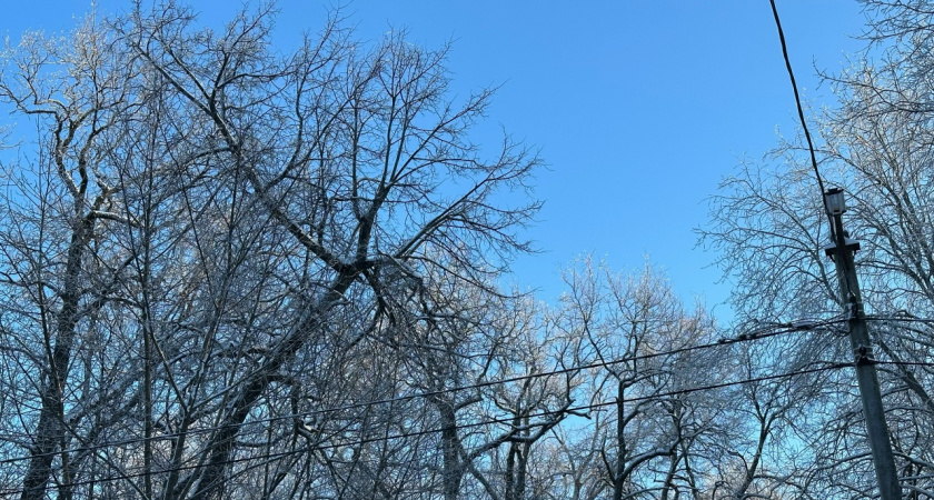 В Пензе и районах области резко усилится ветер
