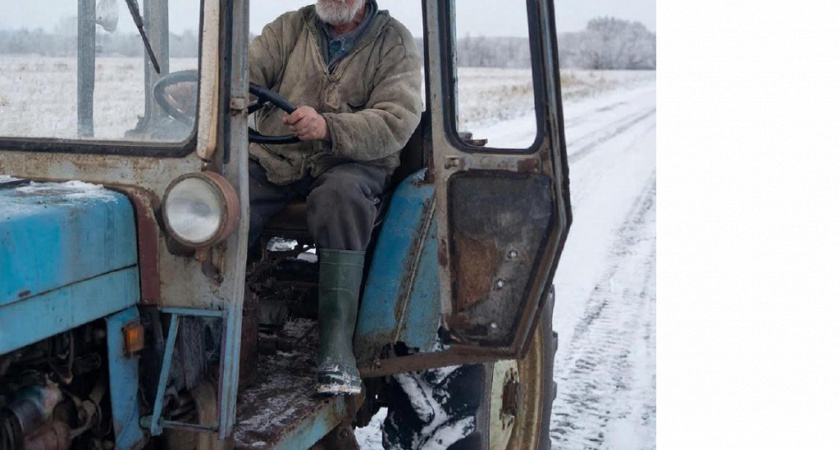 Рецепт прошел сквозь годы: как вкусно приготовить печенку в омлете