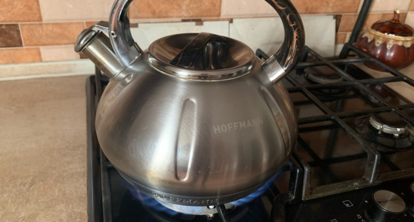 Около 200 жителей Пензенской области смогли газифицировать свои дома с помощью господдержки