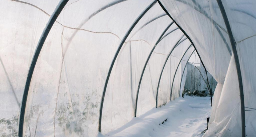 Нужно ли убирать снег на крыше теплицы: 2 сигнала, которые кричат о бедствии - иначе все рухнет