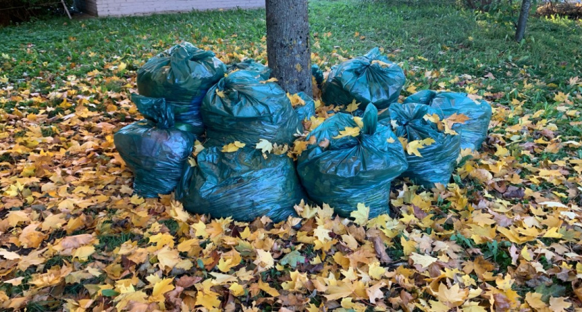 В Колышлее планируют ликвидировать крупную свалку