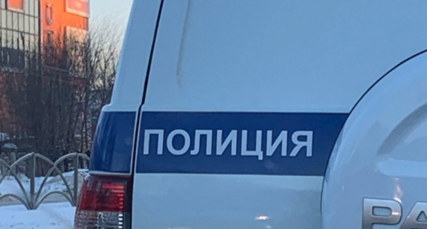 В Пензе поймали мужчину, совершившего целый ряд краж электроники