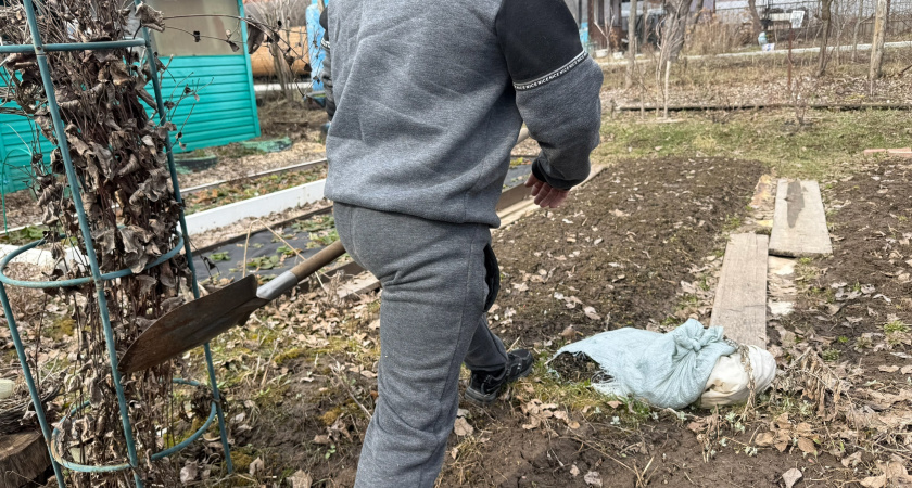 Откажусь от 7 бесполезных работ в саду: наблюдал за успешными дачниками и заметил интересную закономерность - вот в чем ее хитрость 