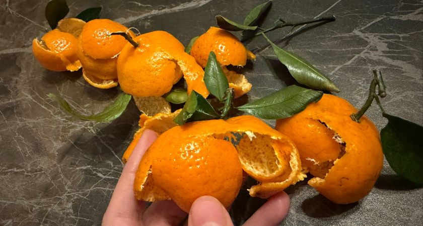 Мандариновые корки не выкидываю, а складываю в пакет: всю зиму собираю это "золотое" удобрение - готовая подкормка для томата и перца 