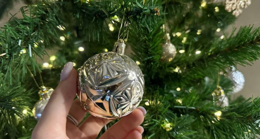 Пензенцев приглашают присоединиться к акции «Спаси елку»