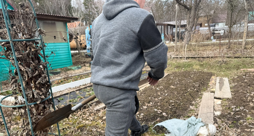 Крик соседки слышали все: проучил воришку, которая повадилась таскать наш урожай - просто проявил смекалку 