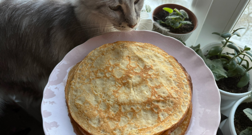 Какого числа Масленица в 2026 году и когда печь блины: даты, традиции и что важно сделать в масленичную неделю