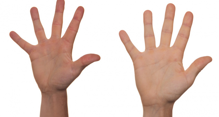 Длина одного из пальцев на руке подскажет, как долго вы проживете - точный тест 