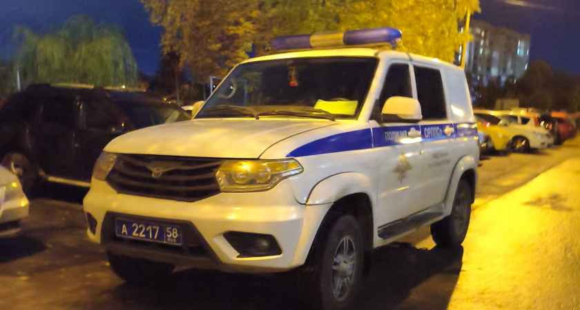 Полицейские нашли в доме жителя Бековского района незаконный арсенал