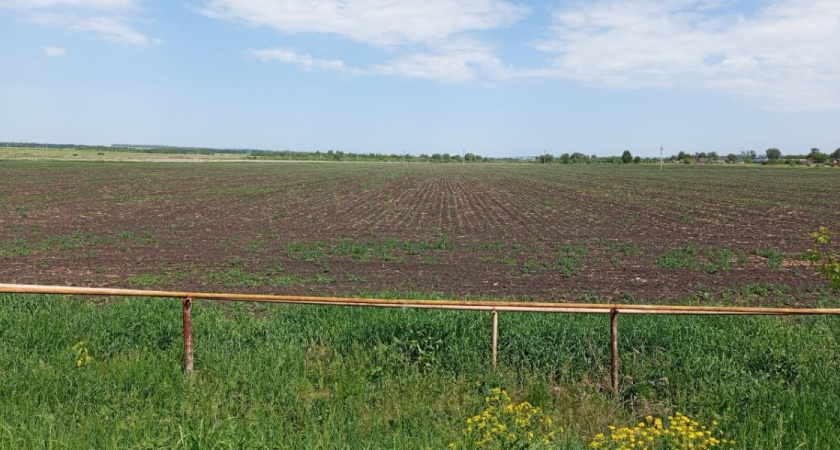 В 2025 году в Пензенской области выявлено 73 нарушения при обращении с пестицидами 