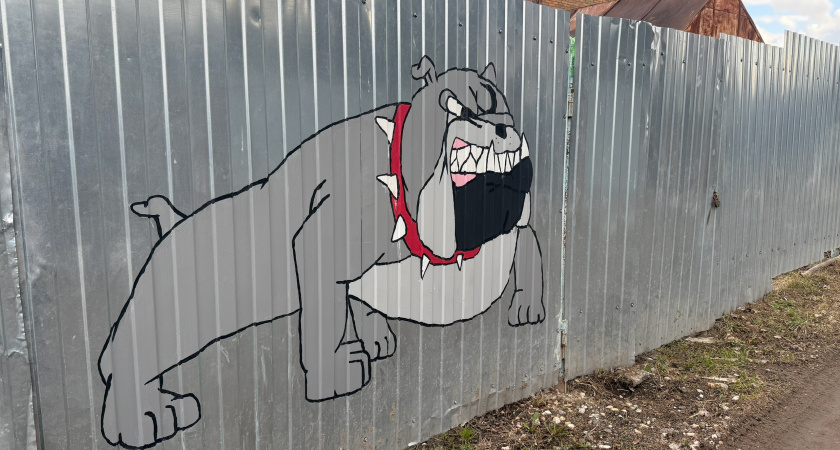 Соседи подложили мне под забор "ароматный" подарочек: абсурдный поступок испортил в мгновенье наши хорошие многолетние отношения