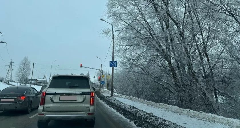 В Пензе иномарка влетела в сугроб