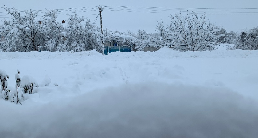 Узнала - не весь снег одинаково полезен: что делать, чтобы не погубить весь огород 