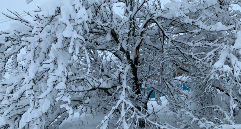 Стало известно, при какой температуре пензенцам разрешено не идти в школу