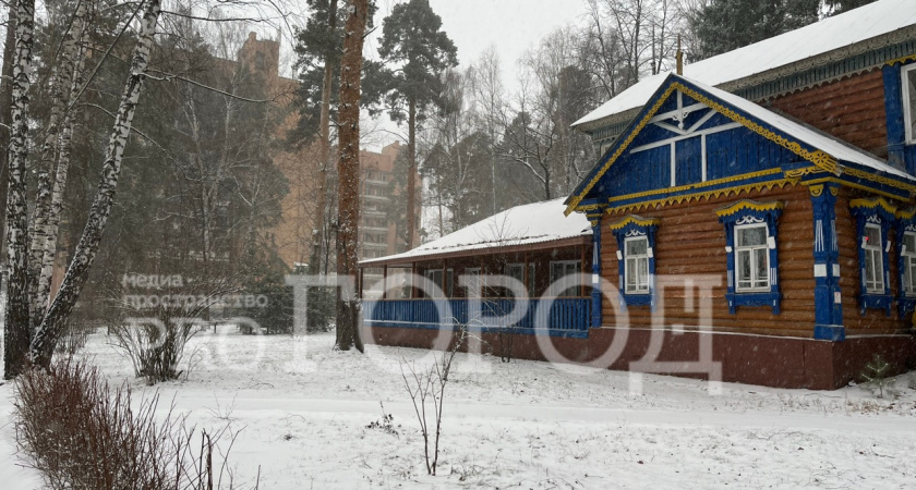 26 января в Пензе обещают до - 33 градусов 