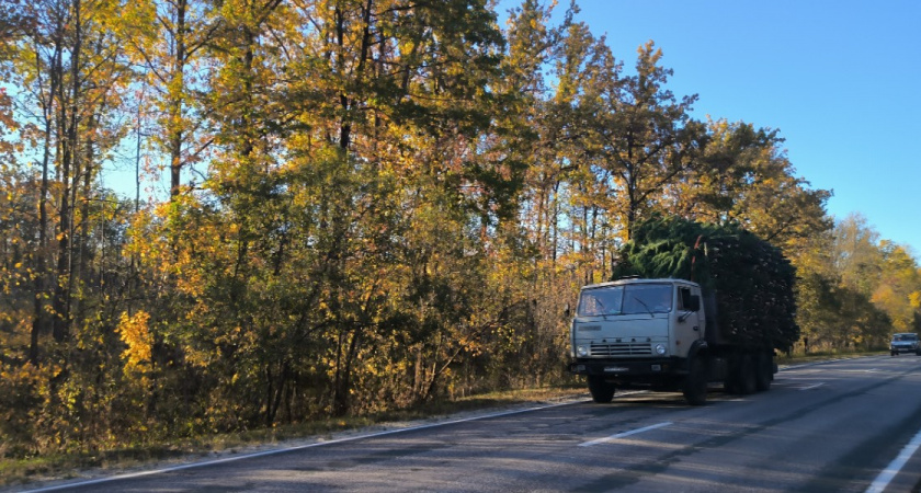 В 2026 году будет проведен ремонт автодороги «Тамбов - Пенза» - Междуречье - Сердобск