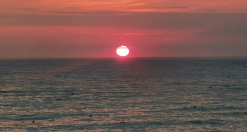 У меня был шок от такой наглости: честный отзыв туристов об отдыхе в Абхазии