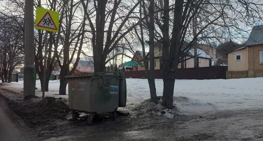 В Верхнем Ломове не могут вывезти мусор из-за снега