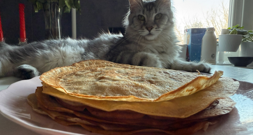 Какого числа Масленица в 2026 году: в какие даты нужно уже начинать печь блины - важные традиции и запреты