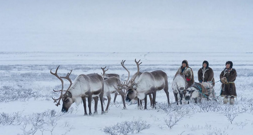 "Это другая свобода": почему жители тундры выбирают жизнь без отопления и дорог