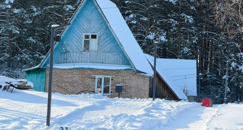 Переехали жить в деревню и только через год догадались, почему в деревнях больше не живут сельским хозяйством - причина была у нас на виду