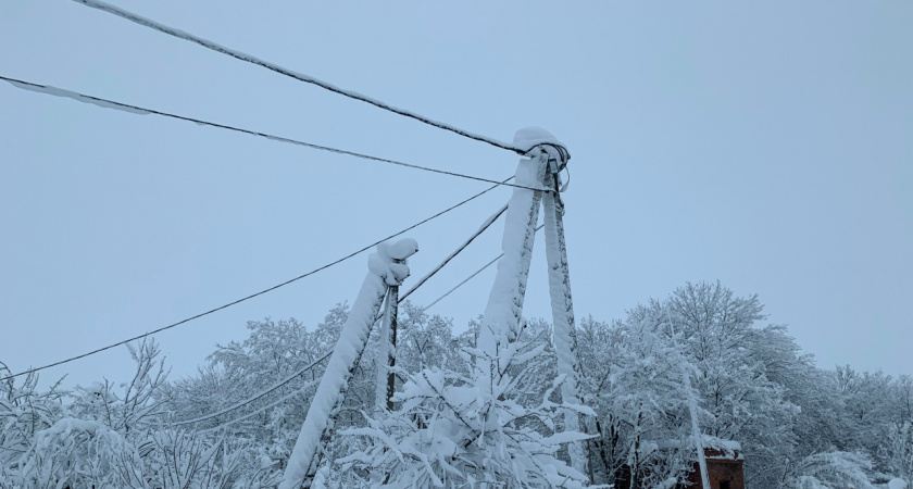 Жители Пензы боятся пожара из-за упавшего на провода дерева