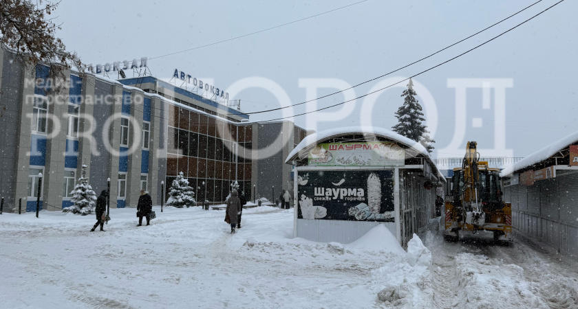 Метель и мокрый снег обрушатся на Пензенскую область в первый день февраля