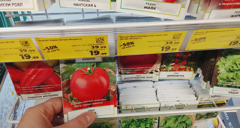 У всех еще чахлая рассада на участке, а у меня уже мясистые плоды: два ульраранних сорта томатов, которые созревают одними из первых