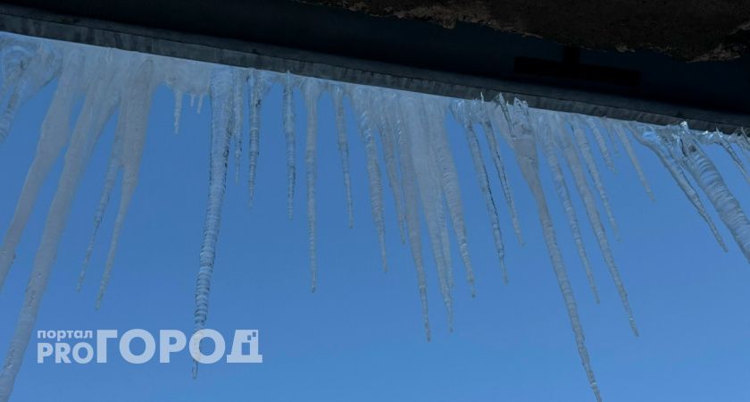 Бастрыкин заинтересовался трагедией на Ленинградской