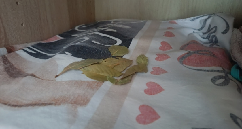 Всегда кладу лавровый лист на полку с бельем: трюк, который должна знать каждая