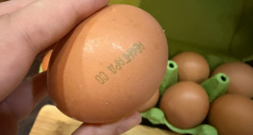 Бомбезный завтрак для "ленивых": беру творог и яйцо - трачу 10 минут